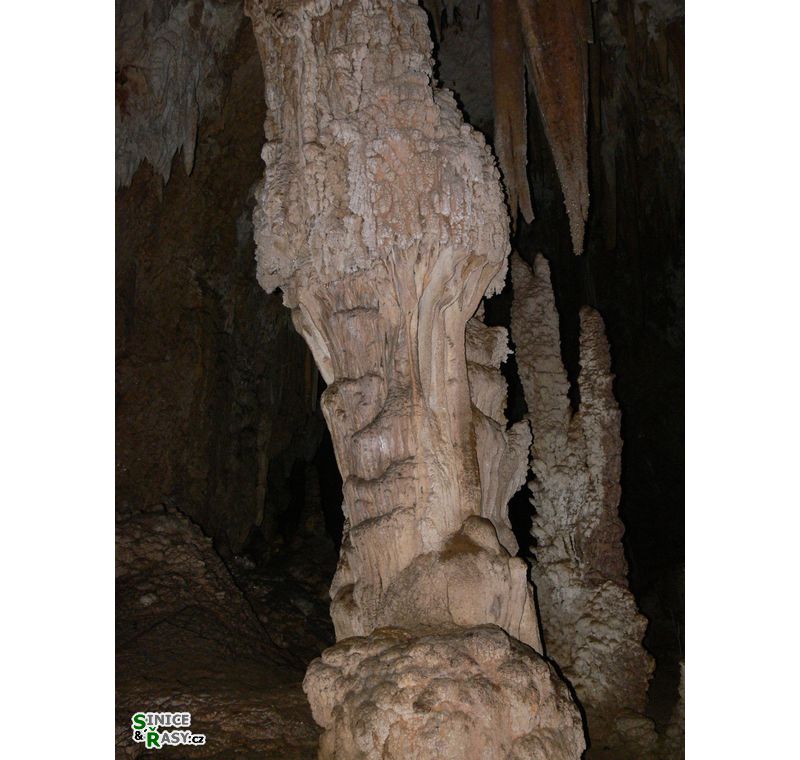 3-guajataca-state-forest-puerto-rico-2013-005