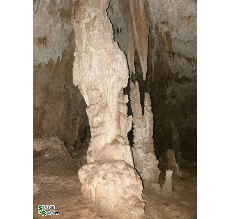 3-guajataca-state-forest-puerto-rico-2013-010