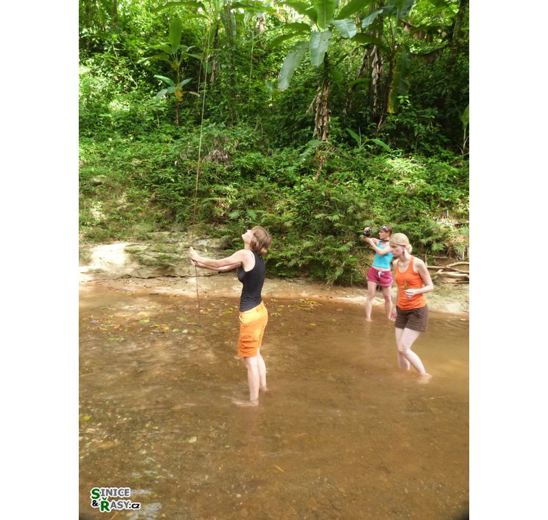3-guajataca-state-forest-puerto-rico-2013-015