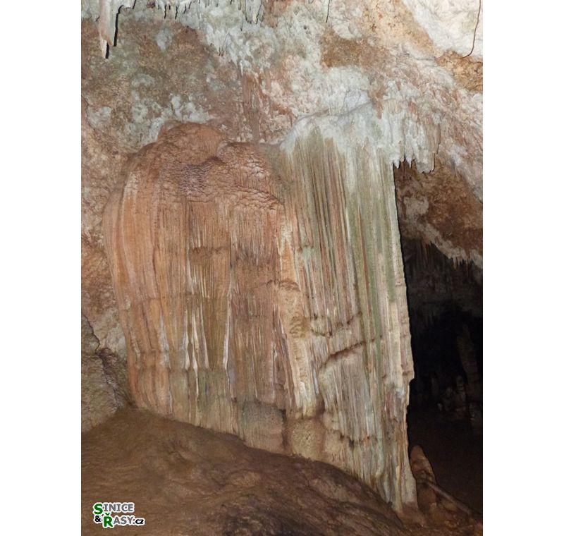3-guajataca-state-forest-puerto-rico-2013-031