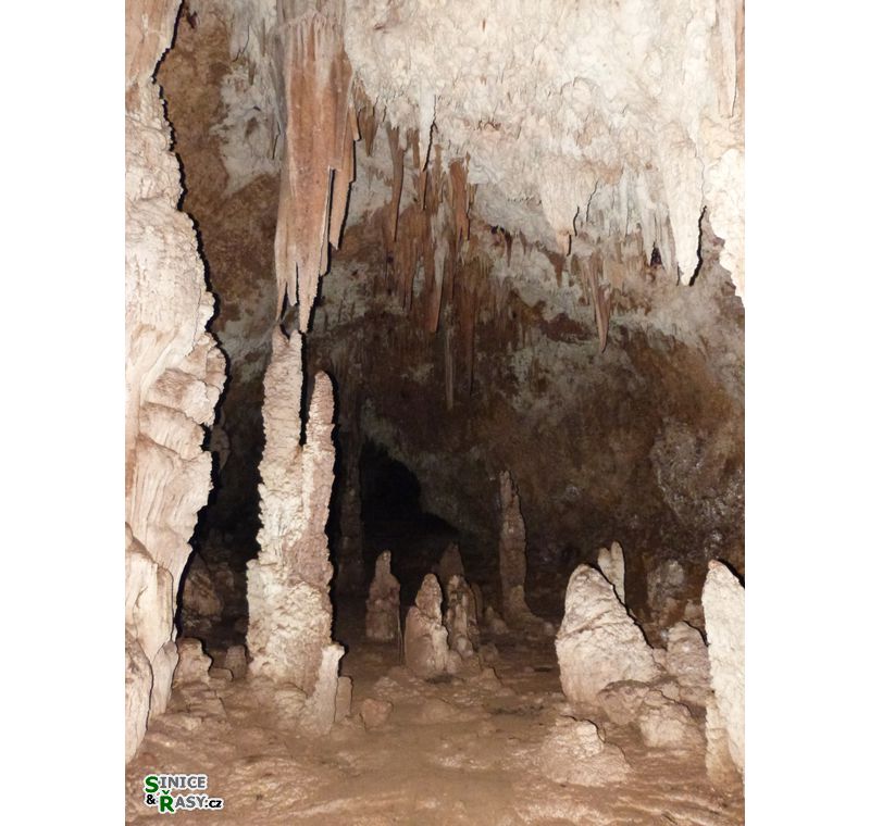 3-guajataca-state-forest-puerto-rico-2013-034