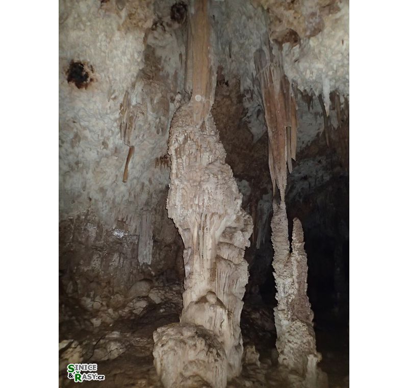 3-guajataca-state-forest-puerto-rico-2013-053