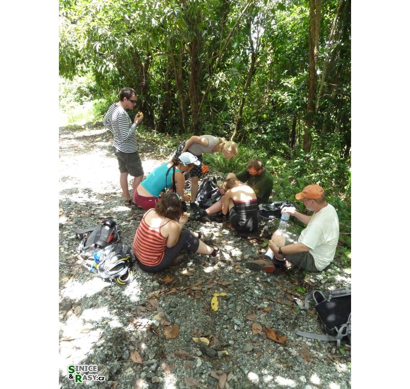 maricao-state-forest-puerto-rico-2013-008