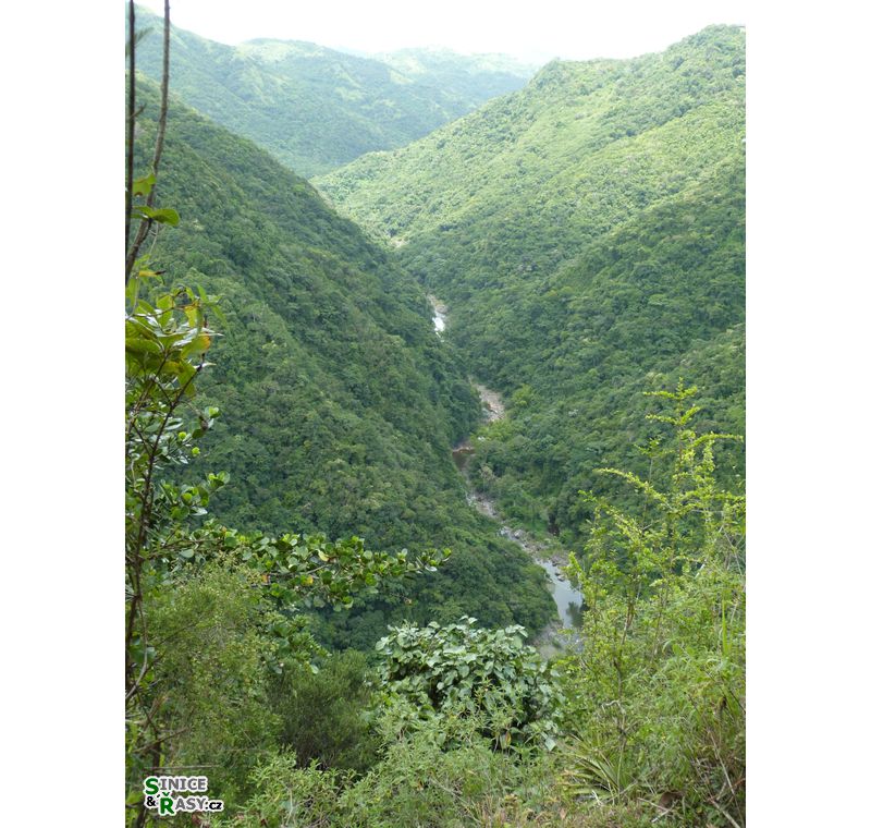 on-the-road-and-home-base-2-puerto-rico-2013-014