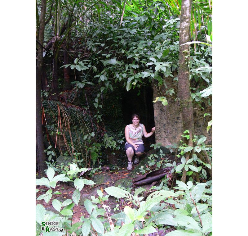 el-yunque-lowland-puerto-rico-2013-007