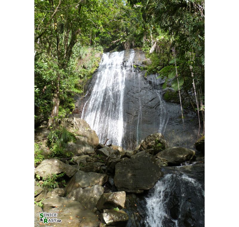 el-yunque-lowland-puerto-rico-2013-018
