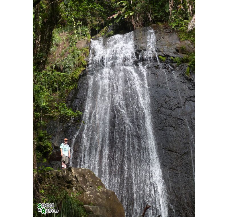 el-yunque-lowland-puerto-rico-2013-019