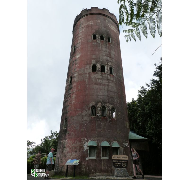 el-yunque-lowland-puerto-rico-2013-030