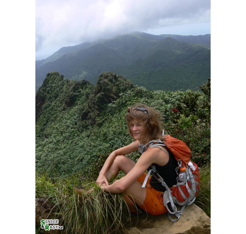 el-yunque-highland-puerto-rico-2013-008