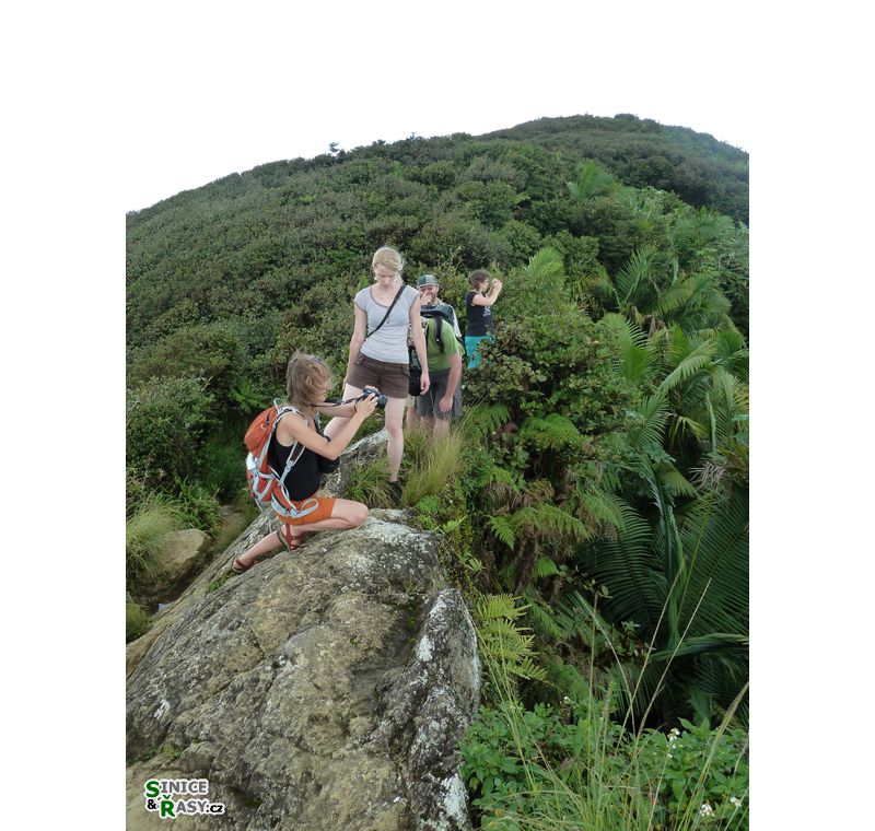 el-yunque-highland-puerto-rico-2013-015