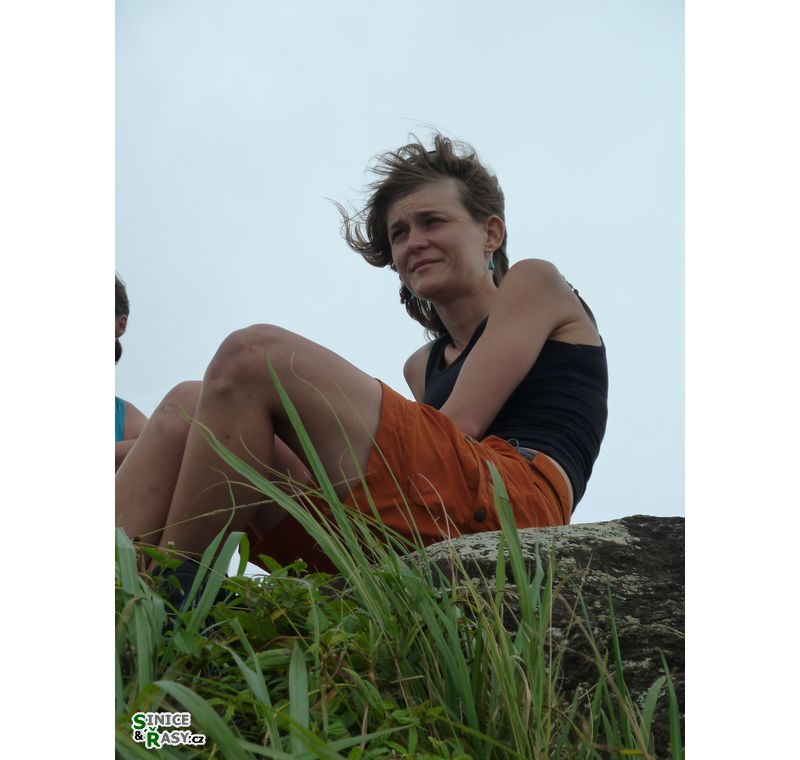el-yunque-highland-puerto-rico-2013-018