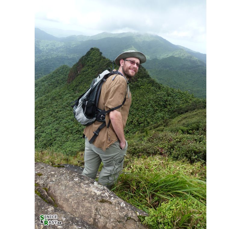 el-yunque-highland-puerto-rico-2013-033