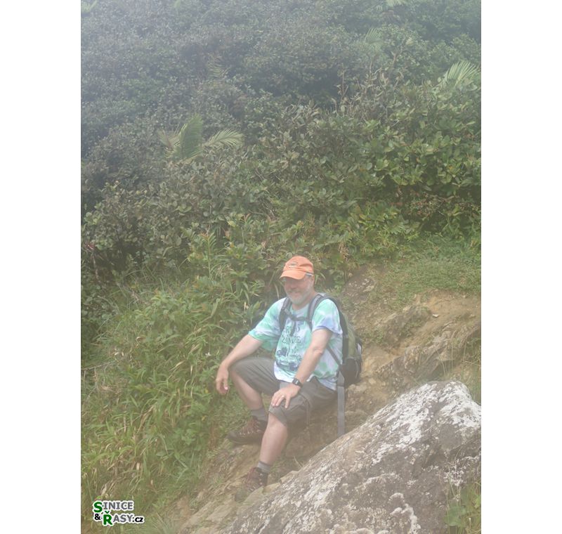 el-yunque-highland-puerto-rico-2013-056