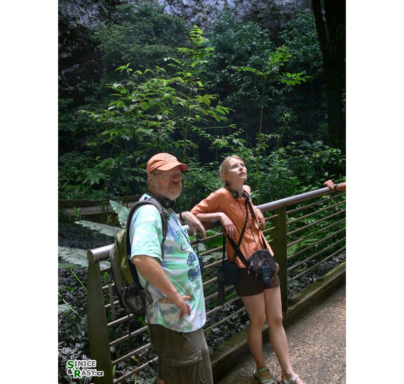 parque-de-las-cavernas-de-rio-camuy-puerto-rico-2013-005