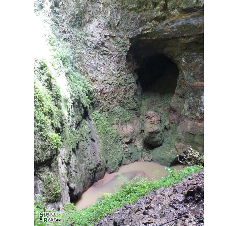 parque-de-las-cavernas-de-rio-camuy-puerto-rico-2013-012