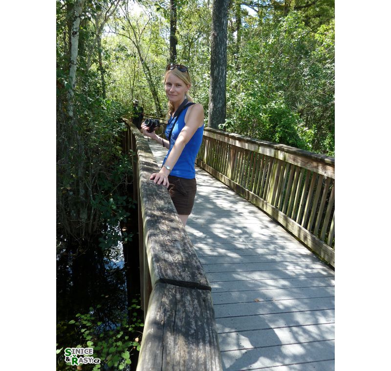 florida-2013-068