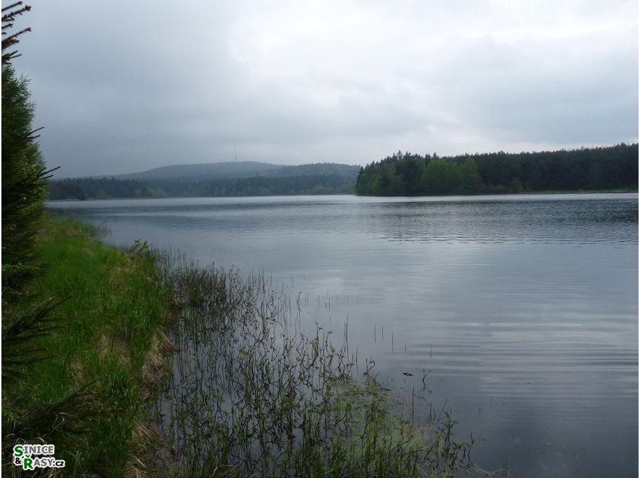 p1000960