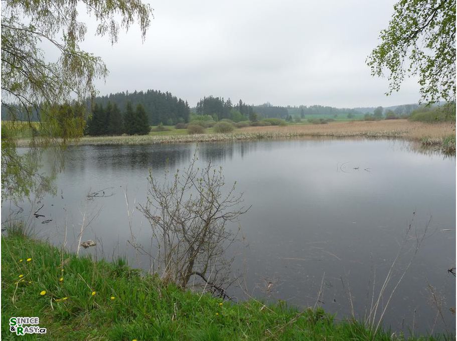 p1000980