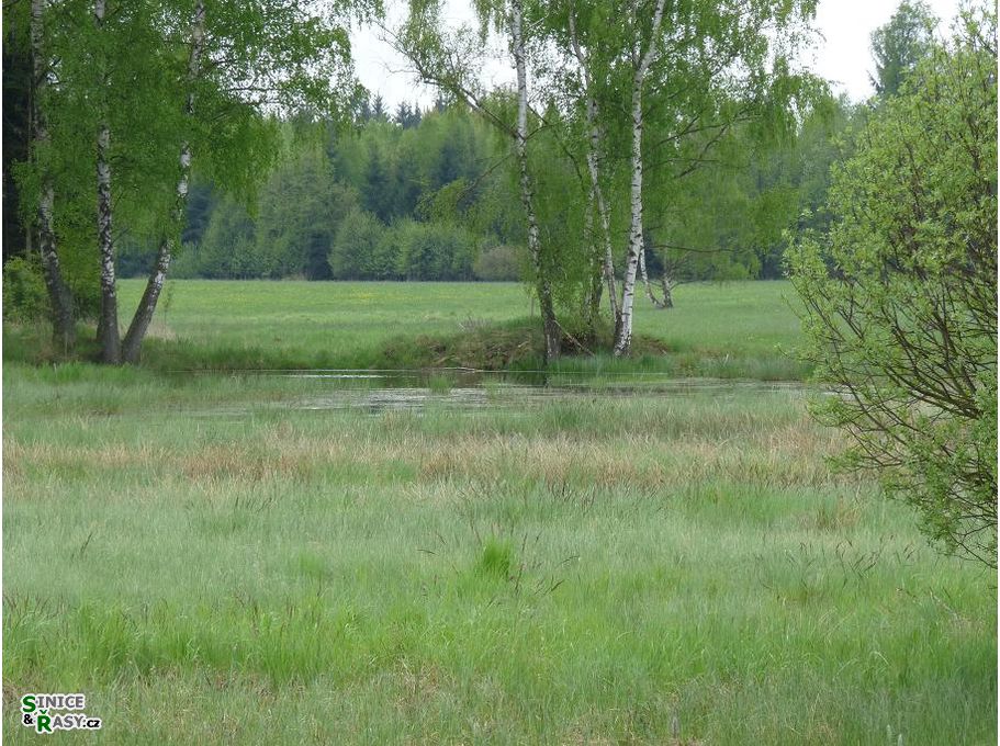 p1000983